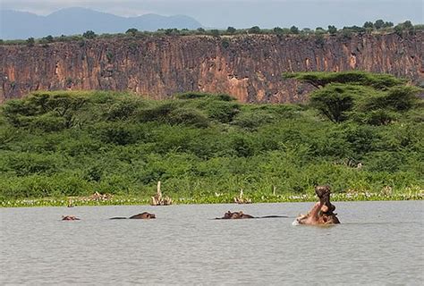 Naivasha Atractions