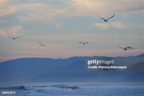 Hollywood Beach Weather Photos and Premium High Res Pictures - Getty Images