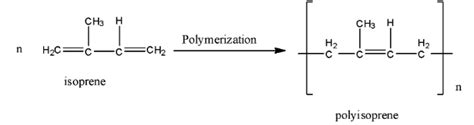 Isoprene Polymerization