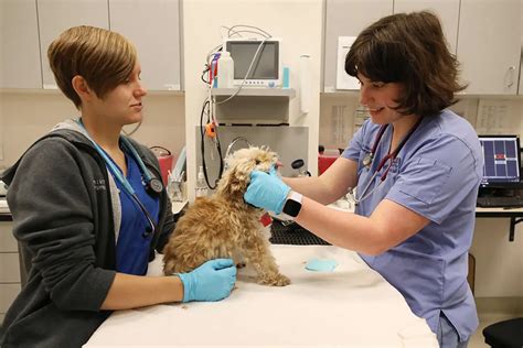 BluePearl Pet Hospital | Kirkland, WA