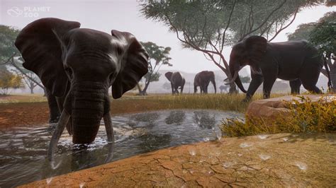 Planet Zoo PC Review - GameSpace.com