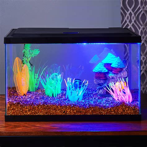 10 Gallon Glass Fish Tank Aquarium Terrarium Pet Reptiles Feeder Lizard ...