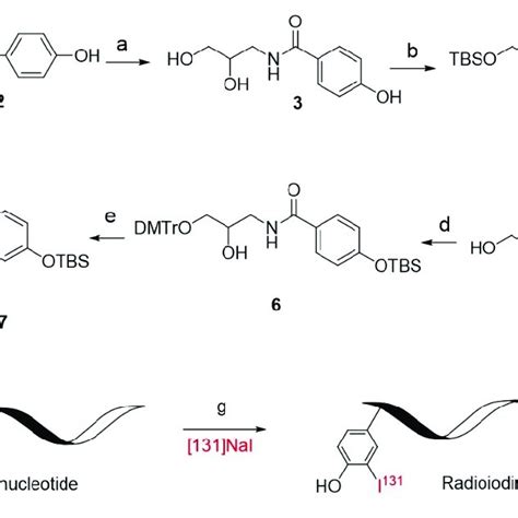 Scheme 1. Synthetic approach to the phosphoramidite 7. (a) EDC.HCl ...