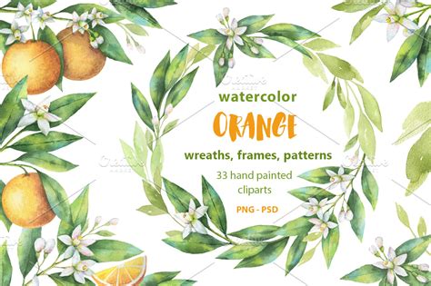 Watercolor Orange. ~ Illustrations ~ Creative Market