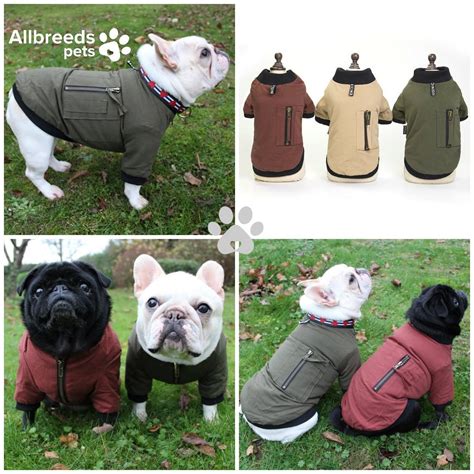 English Bulldog Coat - Etsy UK