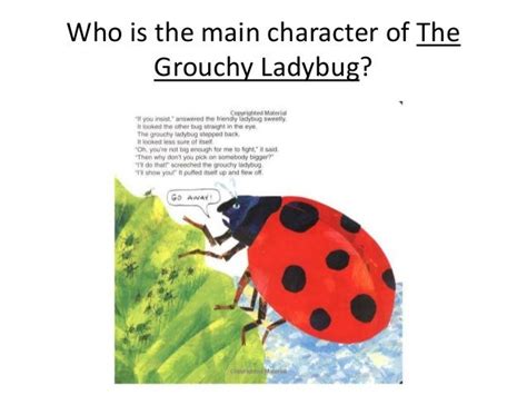 Companion guide to the grouchy ladybug