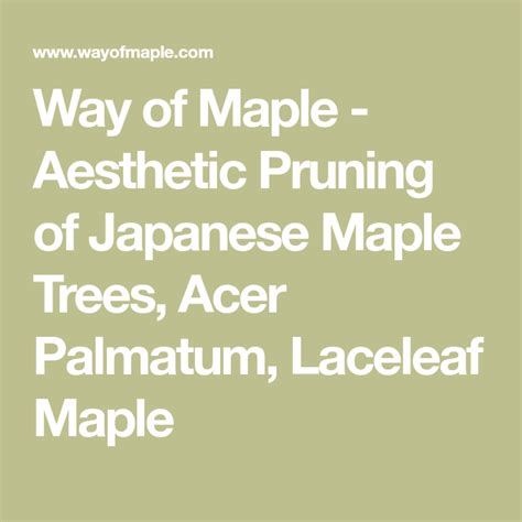 Way of Maple - Aesthetic Pruning of Japanese Maple Trees, Acer Palmatum ...