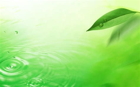 Green Water Wallpapers - Top Free Green Water Backgrounds - WallpaperAccess