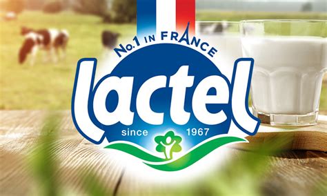 Milk, butter, cream, cheese brands from Lactalis International