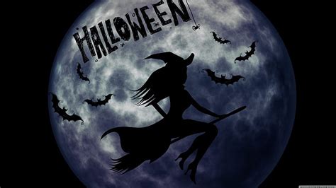 Halloween Witch On Broom HD wallpaper | Pxfuel