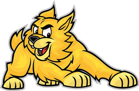 Royalty Free Bobcat Clip Art, Vector Images & Illustrations - iStock