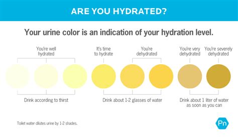 How much water should I drink? - Robert Hughes https://drpandatv ...