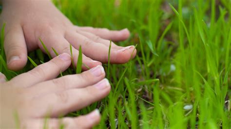 What Does “Touch Grass” Mean? - Ethical Today