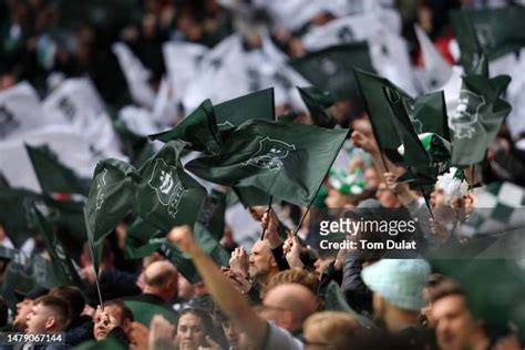 11,240 Plymouth Argyle Stadium Stock Photos, High-Res Pictures, and ...