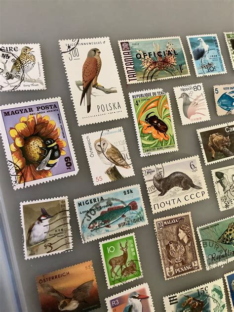 Animal stamps 20 vintage postage lot for cards and | Etsy