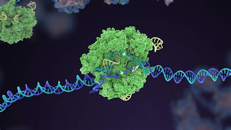 CAN CRISPR GENE THERAPY BE A SINGLE INJECTION? – Impact Lab