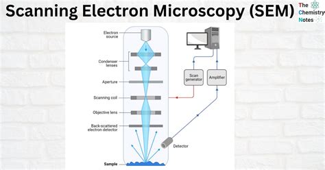 Scanning Electron Microscopy (SEM): Principle, Instrumentation, Advantages