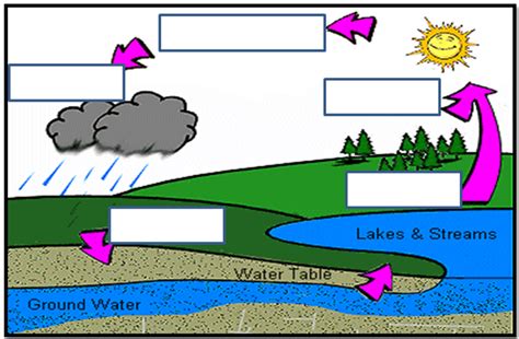 Water Cycle unlabeled | Water cycle, Cycle pictures, Earth science ...