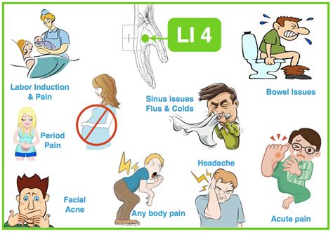 AcuPro Academy | Acupuncture points, Acupuncture, Acupuncture benefits