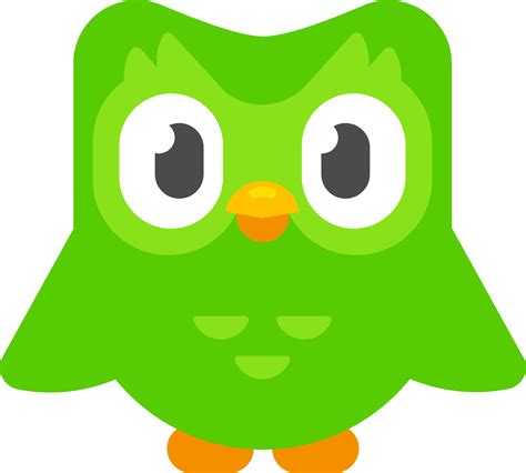 Duolingo Logo im transparenten PNG- und vektorisierten SVG-Format