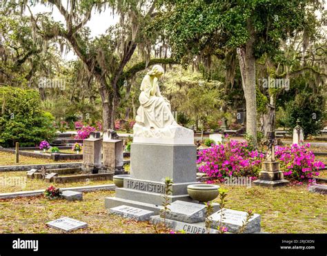 Bonaventure Cemetery,Historic and Famous, Savannah,Georgia, United States of America Stock Photo ...