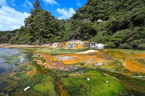 Waimangu Volcanic Valley, Rotorua | Tickets & Tours - 2024