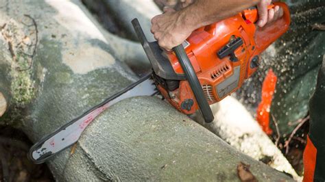 Petrol-powered chainsaw buying guide