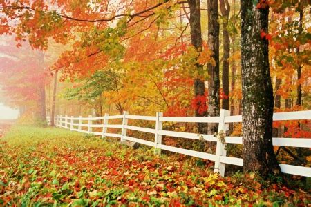 Changing Seasons - Forests & Nature Background Wallpapers on Desktop Nexus (Image 1840586)