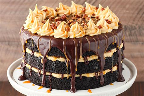 Celebrate chocolate cake day with our favourite chocolate recipes EVER ...