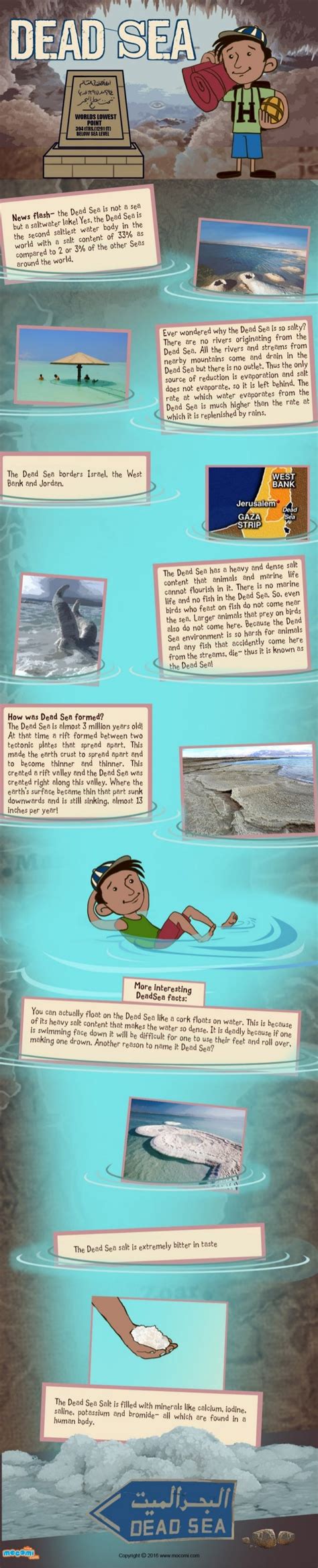 Dead Sea Facts and Information – Mocomi Kids