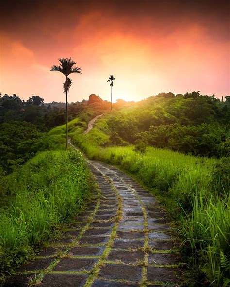 🇮🇩 Campuhan Ridge Walk (Ubud, Bali, Indonesia) by Jarrod (@jrodcaptures) on Instagram cr ...