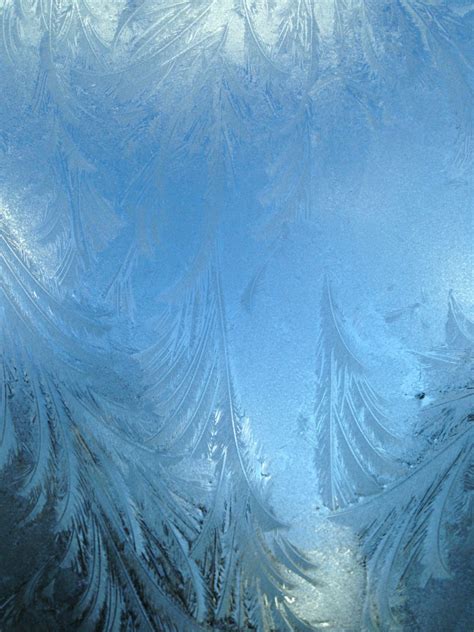 Download Frost on Window Royalty Free Stock Photo and Image