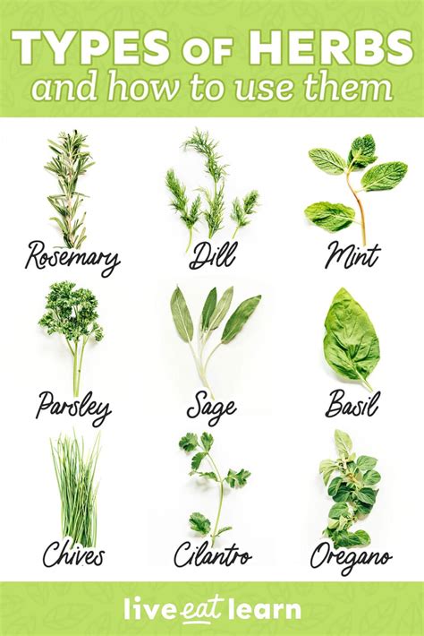 Most Popular Types Of Herbs (And How To Use Them!) | Live Eat Learn