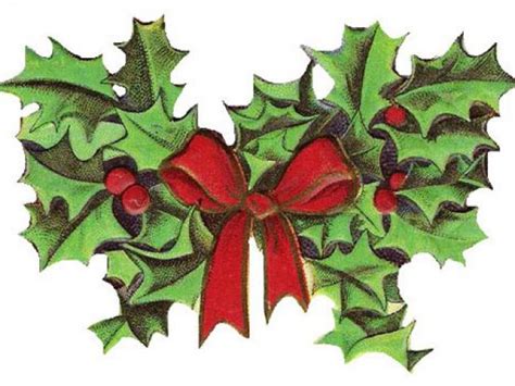 Free Christmas Flowers Cliparts, Download Free Christmas Flowers Cliparts png images, Free ...