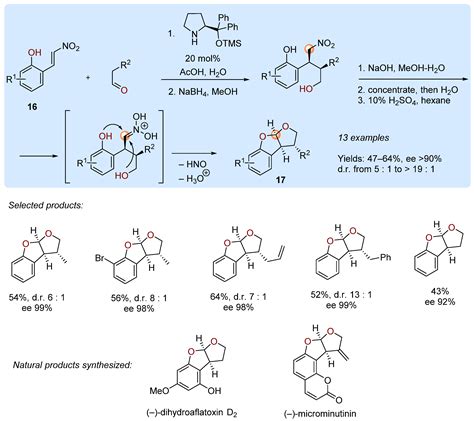 Molecules | Free Full-Text | Interrupted Nef and Meyer Reactions: A Growing Point for Diversity ...