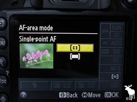 Moose's Low Light Portrait Settings & Tips for the Nikon D3200 | Digital camera tips, Digital ...