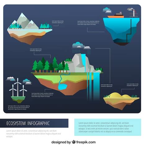 Free Vector | Ecosystem infographic concept