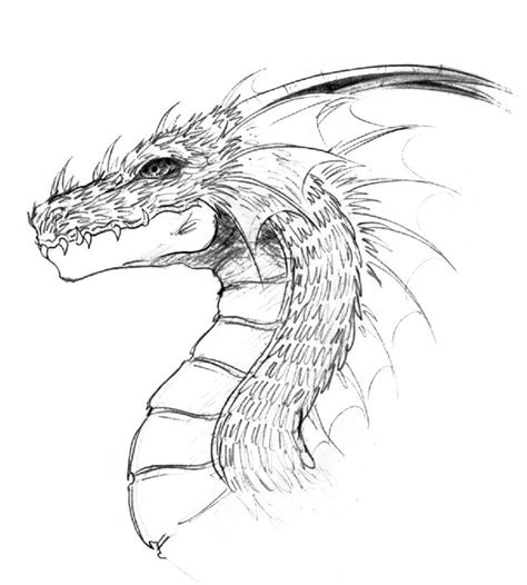 Simple Dragon Line Art | Dragon head by lastwarrior14 on DeviantArt ...
