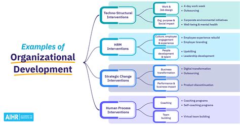 18 Organizational Development Examples From Companies - AIHR