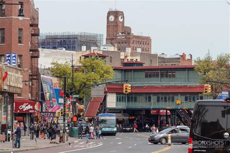 Bronx Historical Tours - Bronx Native