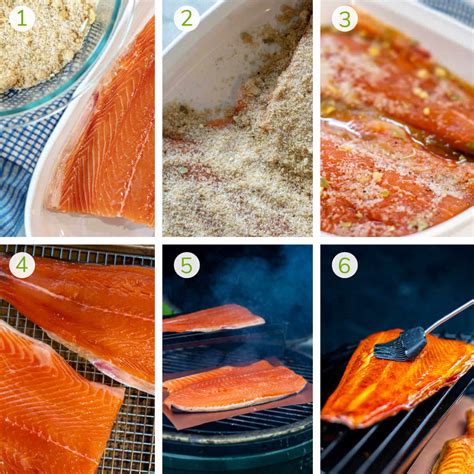 Dry Brine Recipe Cold Smoked Salmon | Besto Blog