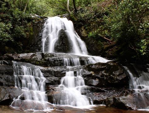 Laurel Falls Trail | Review with Insider Tips & Photos