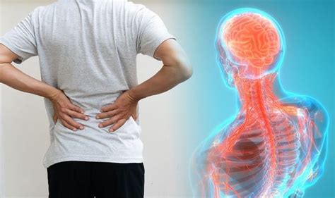 Back pain: When your back pain may be caused by something more serious - symptoms to spot ...