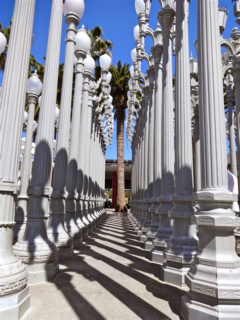 eatamarthacupcake: LACMA