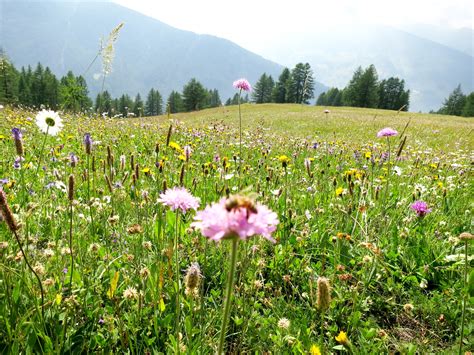 Hiking the Alps in Italy