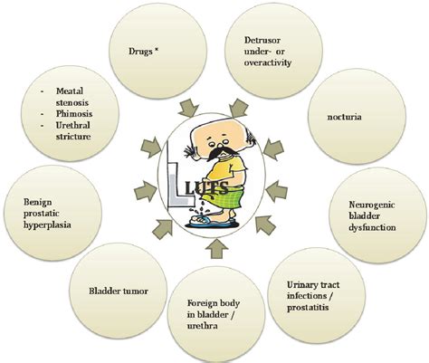 Figure 1 from Lower urinary tract symptoms. | Semantic Scholar