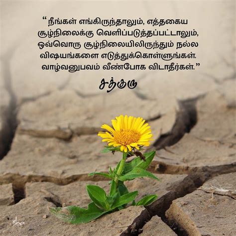 Motivational Quotes in Tamil: வாழ்வில் நம்பிக்கை தரும் சத்குருவின் ...