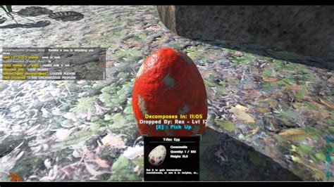 ARK: Survival Evolved - Don’t steal a T-Rex egg - YouTube