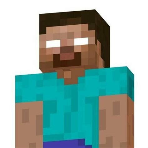 Create meme "herobrine , the head of herobrine, minecraft herobrine" - Pictures - Meme-arsenal.com