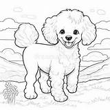 Elegant Poodle Coloring Pages For Kids Stock Illustration  sketch template